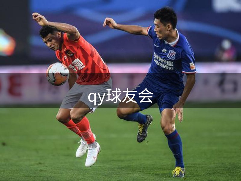 关于qy球友会